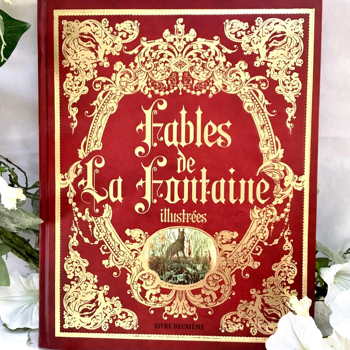 Fables de la fontaine illustrées livre deuxième collection vintage