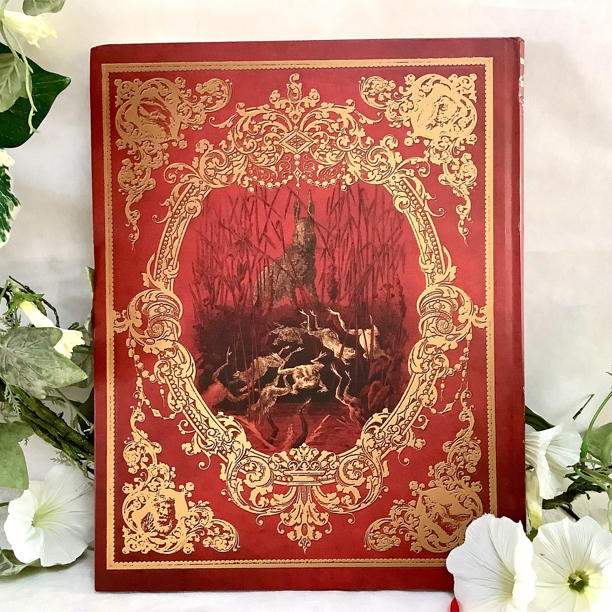 Fables de la fontaine illustrées livre deuxième collection vintage