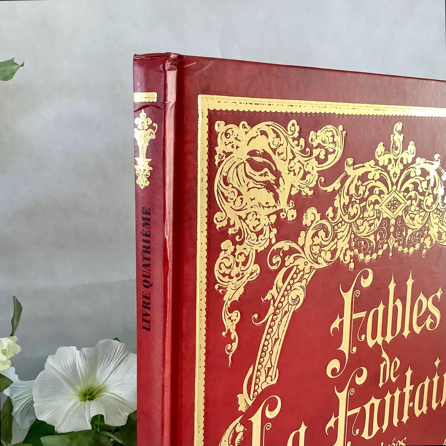 Fables de la fontaine illustrées livre quatrième collection vintage