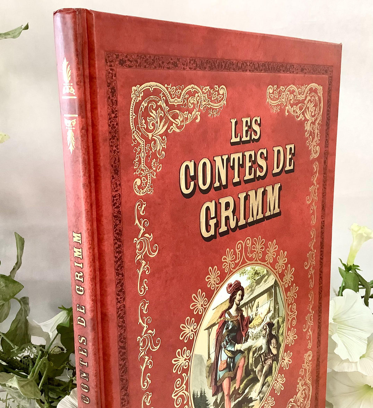 Les Contes de Grimm illustrés livre collection vintage Tome 1