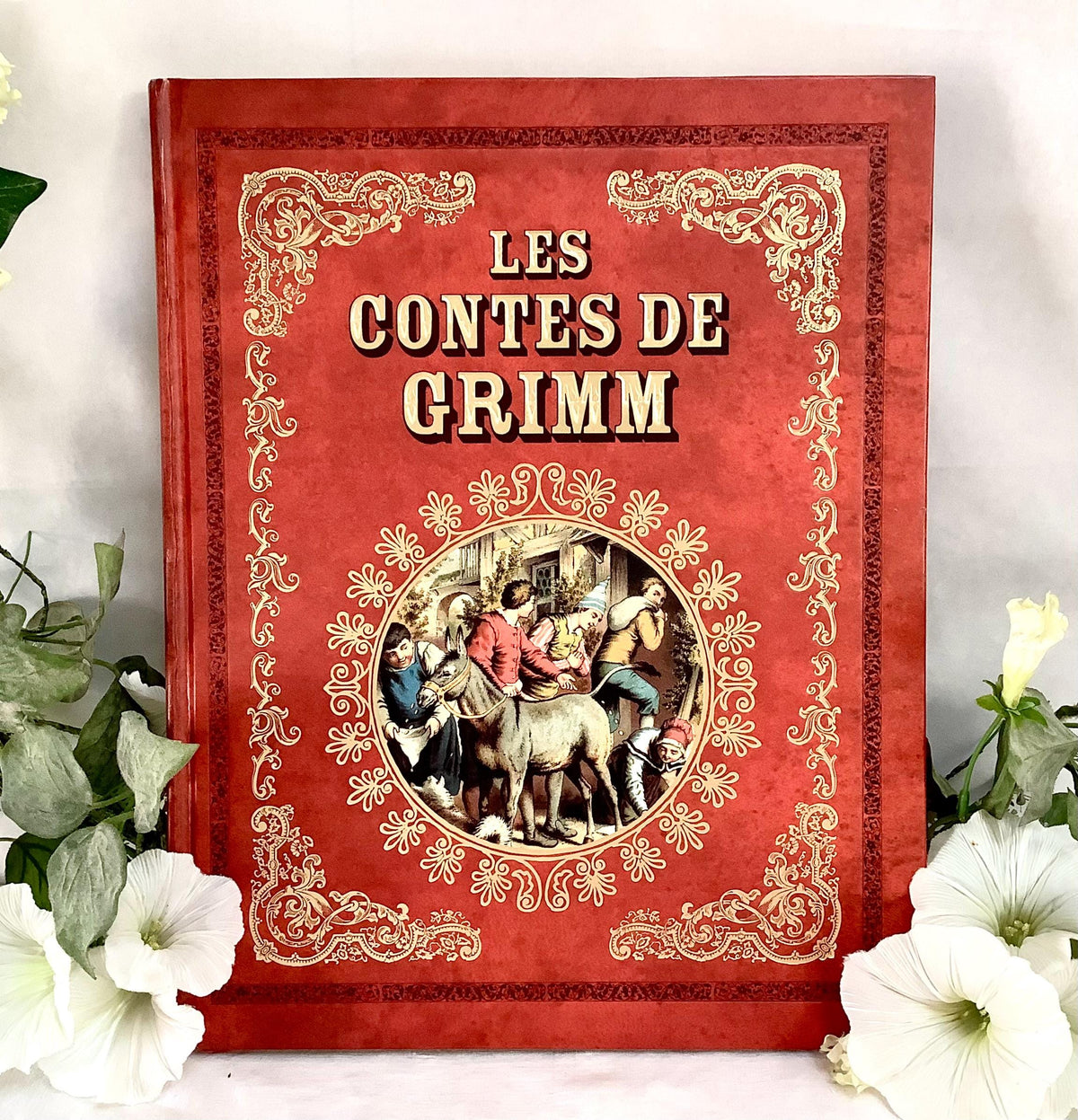 Les Contes de Grimm illustrés livre collection vintage Tome 2