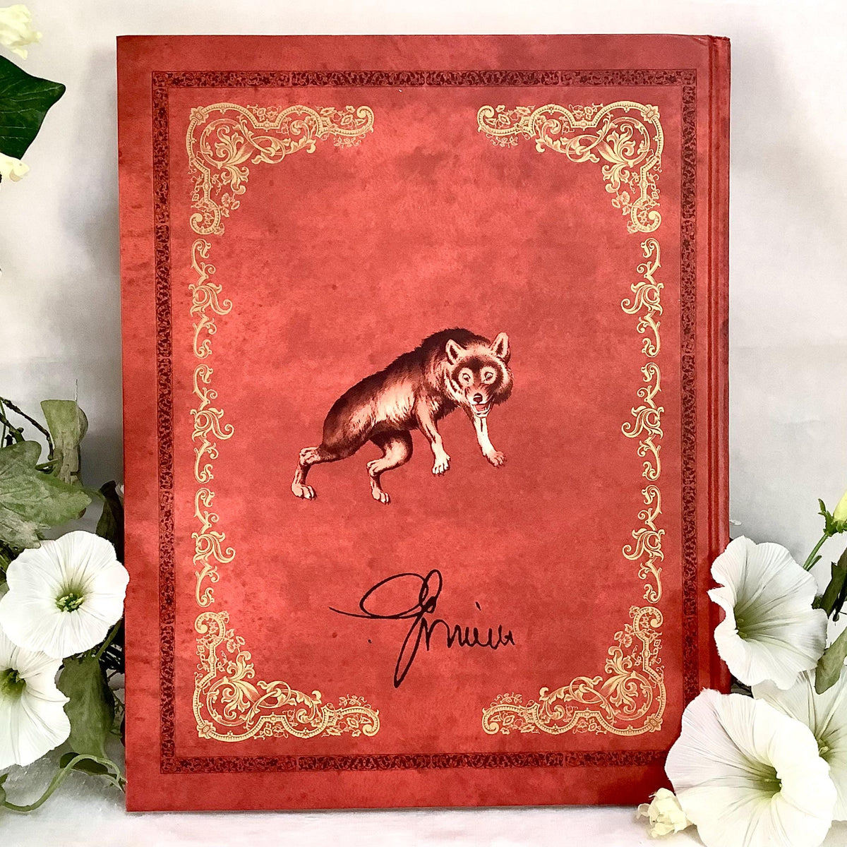 Les Contes de Grimm illustrés livre collection vintage Tome 4
