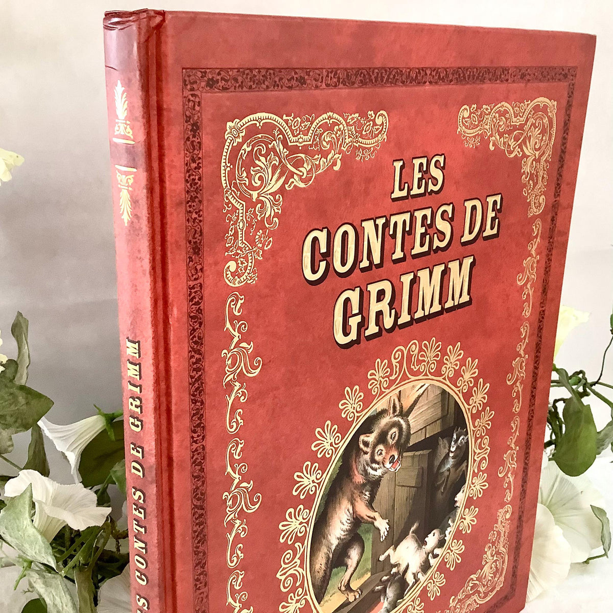 Les Contes de Grimm illustrés livre collection vintage Tome 4