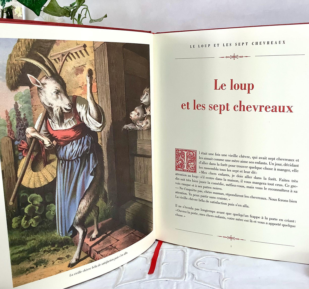 Les Contes de Grimm illustrés livre collection vintage Tome 4