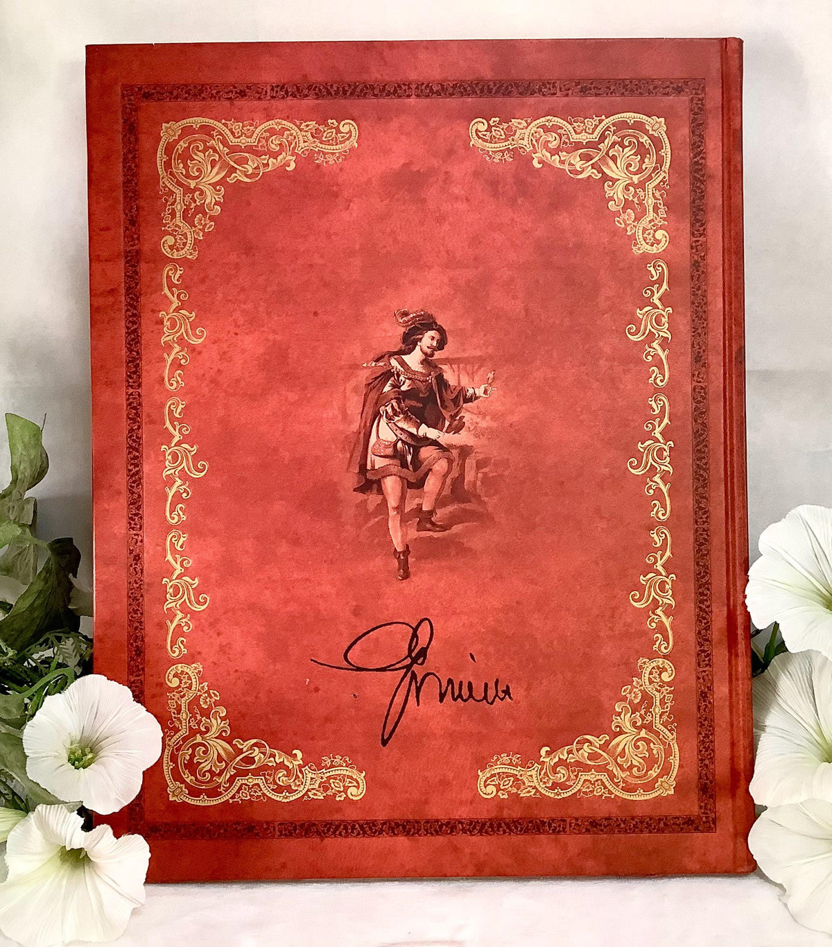 Les Contes de Grimm illustrés livre collection vintage Tome 1