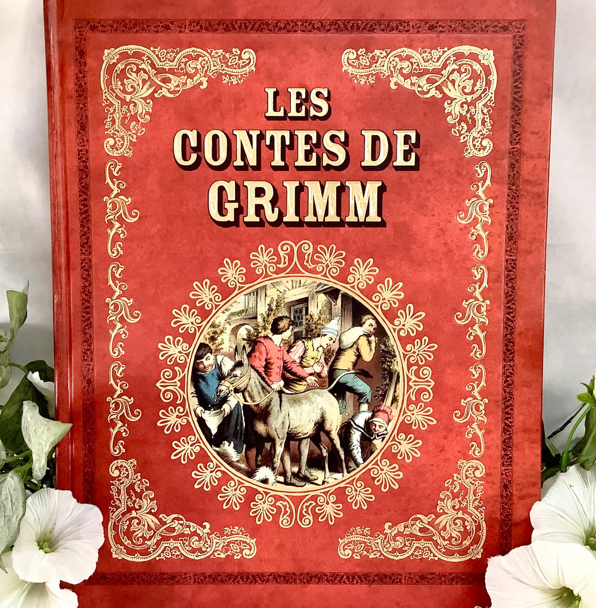 Les Contes de Grimm illustrés livre collection vintage Tome 2