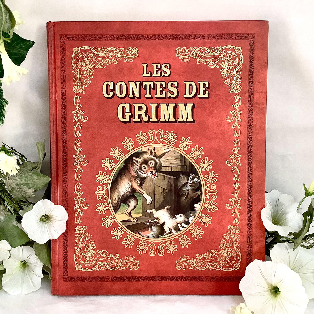 Les Contes de Grimm illustrés livre collection vintage Tome 4